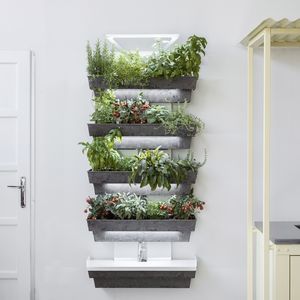 jardin vertical en végétaux vivants