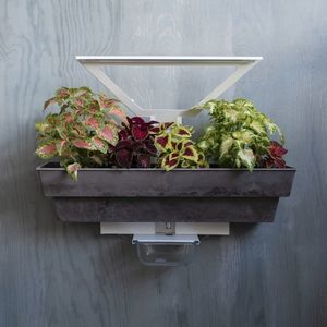 jardin vertical en végétaux vivants