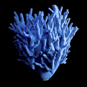 vase contemporain 1