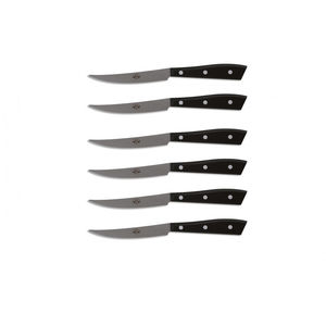 couteau à steak avec manche en PMMA