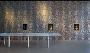 carrelage d'intérieur / mural / en ciment / à motif floral