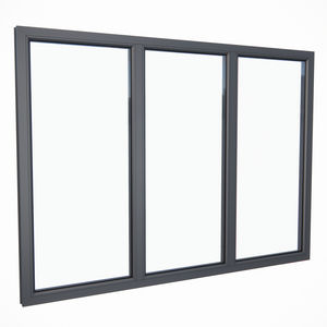 fenêtre en verre 1
