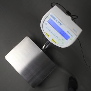 balance professionnelle