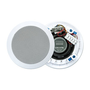 enceinte de plafond 1