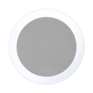 enceinte de plafond 1