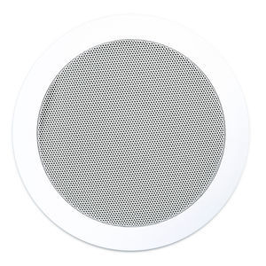 enceinte de plafond 1