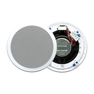 enceinte de plafond 1