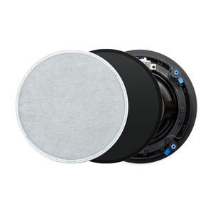 enceinte de plafond 1