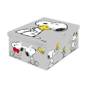 boîte de rangement en carton