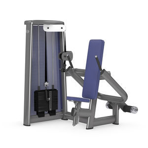 appareil de musculation dips 1
