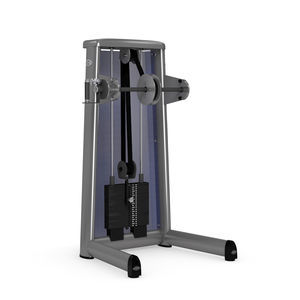 appareil de musculation torsion