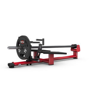 appareil de musculation dos 1