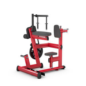appareil de musculation dos 1
