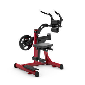 appareil de musculation dos 1