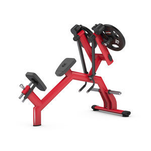 appareil de musculation dos 1