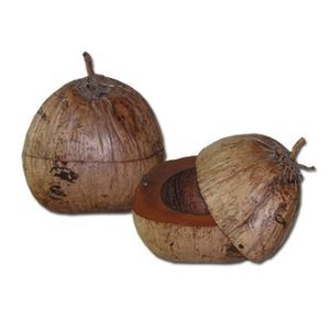 seau à glace en noix de coco