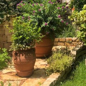 pot de fleur en terracotta