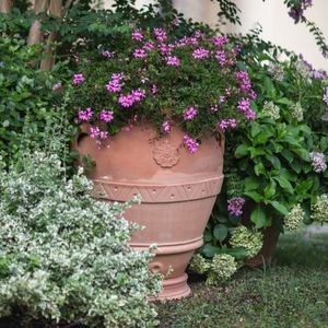 pot de fleur en terracotta