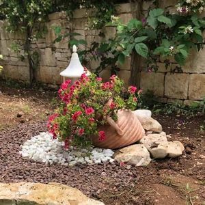 pot de fleur en terracotta