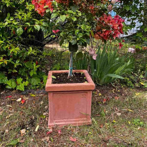 pot de jardin en terracotta