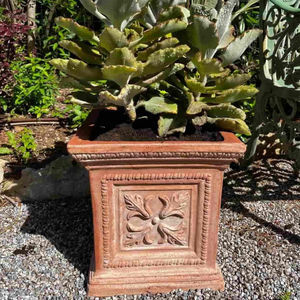 pot de jardin en terracotta