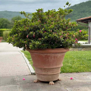 pot de jardin en terracotta