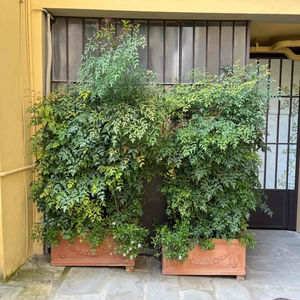 jardinière en terracotta