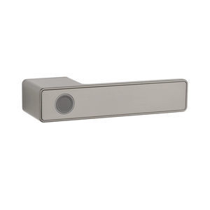 poignée de porte