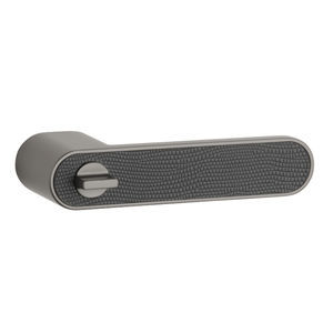 poignée de porte