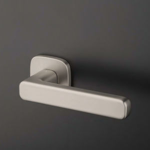 poignée de porte