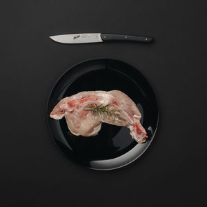 couteau à steak avec manche en plastique