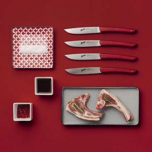 couteau à steak avec manche en plastique