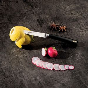 couteau d'office avec manche en résine