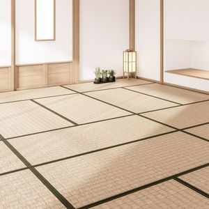 tatami tapis 1