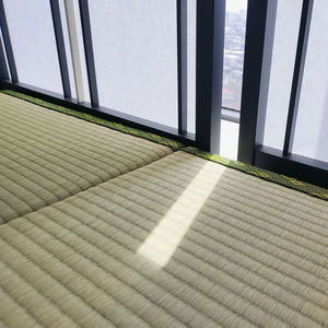 tatami tapis 1