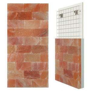 mur de sel en briques