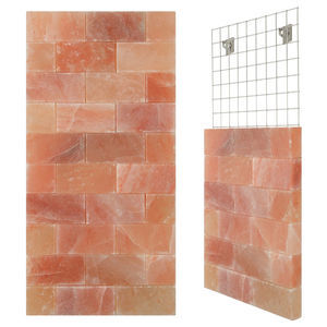 mur de sel en briques