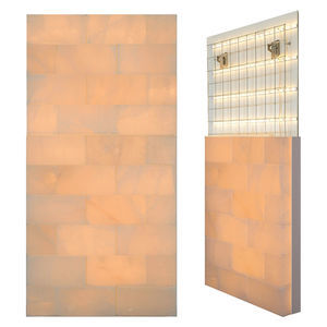 mur de sel en briques