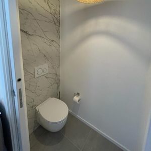 WC suspendu
