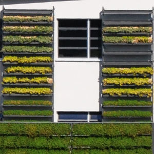 kit pour mur végétal modulaire