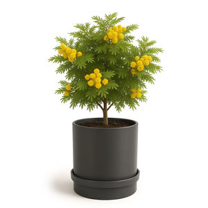 jardinière en métal