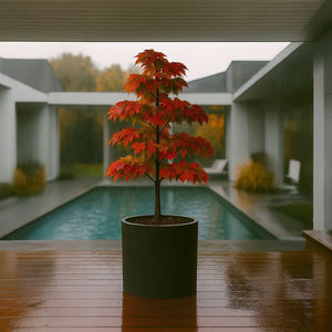 jardinière en acier