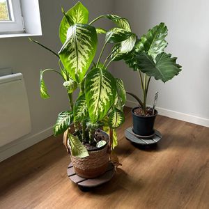 support pour pot de fleur à poser