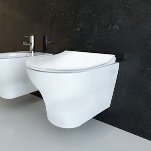 WC suspendu