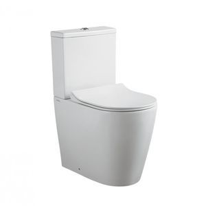 WC monobloc