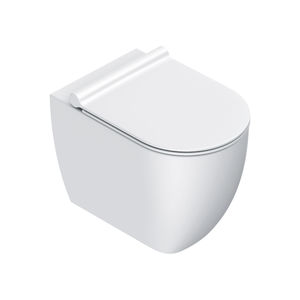 toilettes à poser