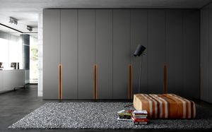 armoire contemporaine / en bois / en bois laqué / à porte battante