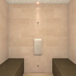 bain de vapeur 1