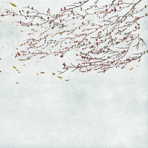 papier peint contemporain