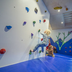 mur d'escalade fixe